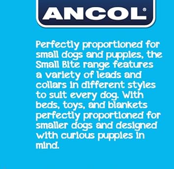Ancol Small Bite Vinyl 6 Ball Assorted, 4.5 cm, clear