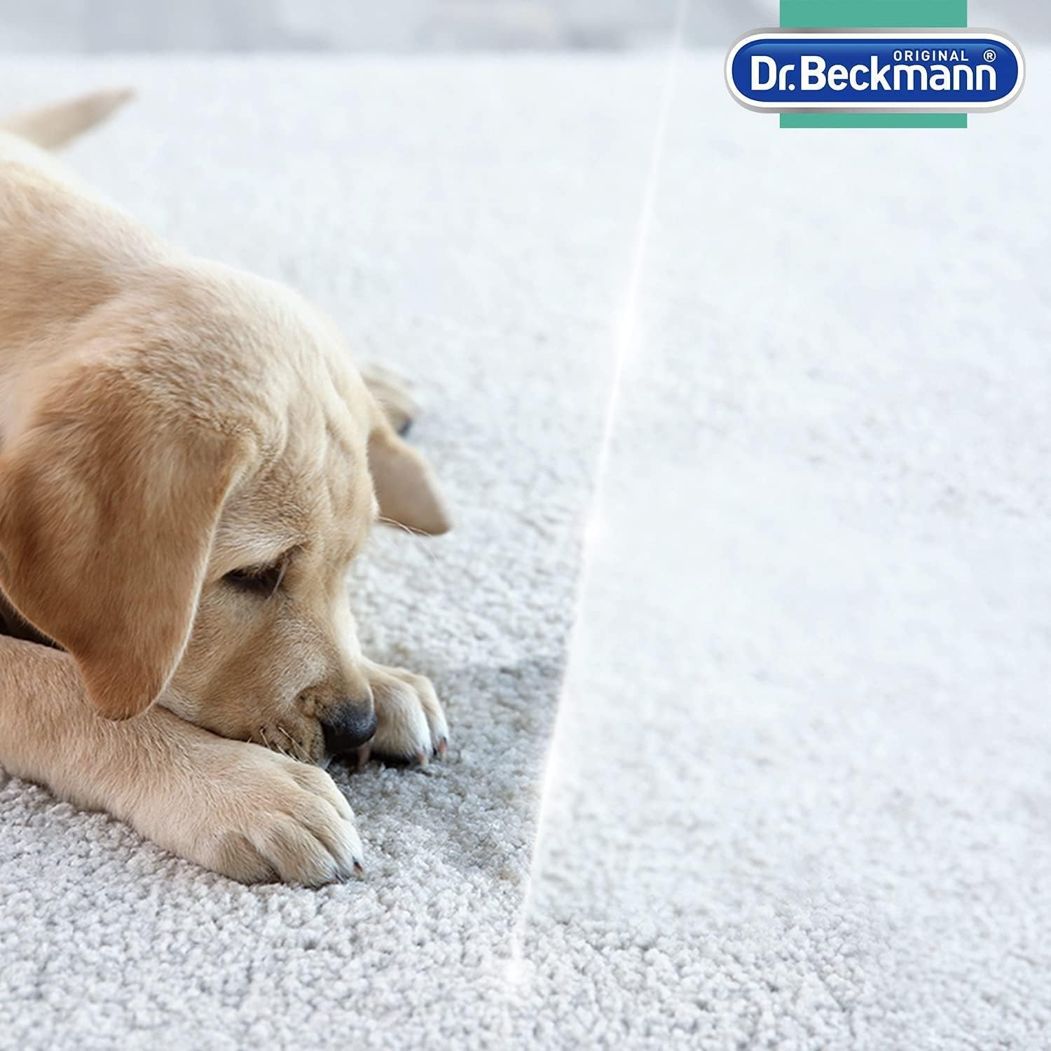 Dr. Beckmann Pet Stain & Odour Remover, 650 ml